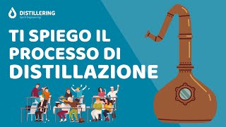 Che cosè la Distillazione Come funziona Scopri il processo di Distillazione degli alcolici [upl. by Latsirc]