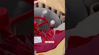 Firework fireworks christmas pyrotechnics funny 4thofjuly shorts trending viralvideo [upl. by Immak]