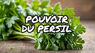 Persil et ses bienfaits [upl. by Lihp]