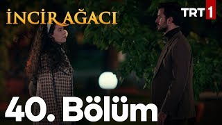 İncir Ağacı 40 Bölüm [upl. by Sitrik]