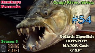 Fishing Planet 54  S5 Congo River Africa  Goliath Tigerfish Hotspot  MAJOR Cash amp XP [upl. by Ajani]