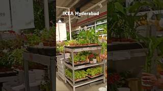 IKEA Hyderabad Shopping part2🛍️ shortsvideo [upl. by Nicholle485]