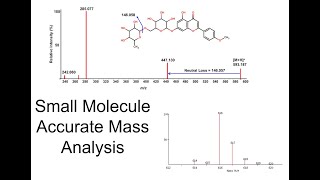 13 Small Molecule Accurate Mass Analysis [upl. by Kcirtemed]