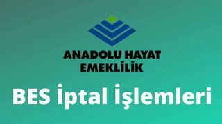 Anadolu Hayat Bireysel Emeklilik Nasıl İptal Edilir [upl. by Nylavad]