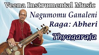 Nagumomu Ganaleni on veenaRaga AbheriAdiThyagarajaSaraswati veenaVeena learning Lesson [upl. by Bergstrom154]