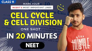 Maths  भाग करना सीखें  कैसे भाग दें Learn Division  Hindi [upl. by Iteerp]