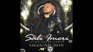 Sali Imeri  Lujma doren zemer Gezuar 2018 Official Audio [upl. by Caton771]