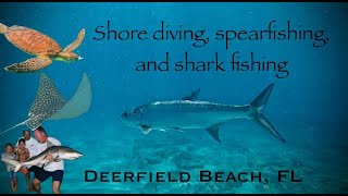 AMAZING Marine Life and INCREDIBLE ShoreBased Adventure  Deerfield Beach FL [upl. by Love]