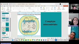 Ciclo de krebs y fosforilación oxidativa [upl. by Allecnirp]