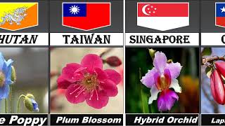 National Flower of the Countries [upl. by Dolloff]