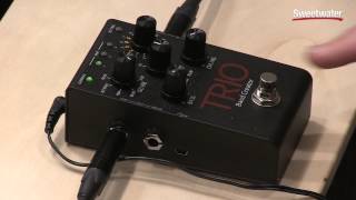 DigiTech Trio Band Creator Pedal Demo [upl. by Drawoh]