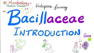 Introduction to Bacillaceae Bacillus anthracis and Bacillus cereus  Microbiology 🧫 [upl. by Noiz]