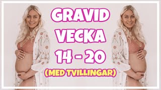 GRAVID VECKA FÖR VECKA  vecka 14  20 med tvillingar [upl. by Amadas]