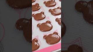 Teddy Bear Macarons [upl. by Filiano]