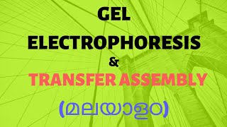 Gel ElectrophoresisTransfer AssemblyIn MalayalamBiotechnologyFor Neetcbsekerala plus two [upl. by Nohcim]