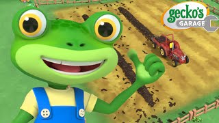 Farm Transformation  Geckos Garage  Cartoons For Kids  Toddler Fun Learning [upl. by Savage]