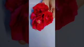 Most viral flower book  Book mark  shorts shortsfeed trending viralshorts views [upl. by Bethel396]