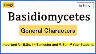 Basidiomycetes General Characters [upl. by Saleme]