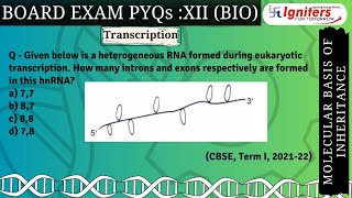 Given below is a heterogeneous RNA formed during eukaryotic transcription How many introns and e [upl. by Sherer]