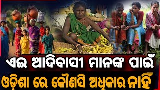 ମୁର୍ଖ ଆଦିବାସୀ ଙ୍କ ପାଇଁ କୌଣସି ଜାଗା ନାହିଁodisha tribe people Odishare jaga nahichampaklatanayak8048 [upl. by Aymahs]