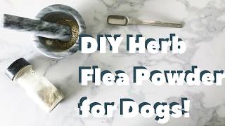 DIY AllNatural Flea Powder for Dogs [upl. by Yvor]