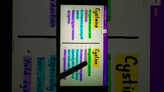 Cysteine vs Cystinebiology [upl. by Kcirdor]