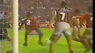 Final Carioca 1995  Fluminense 3x2 Flamengo  Gol de Barriga [upl. by Ellahcim]