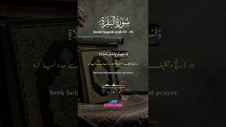 surah baqarah ayah 4446 english amp urdu translation  shorts viral iqrastudio7 quran [upl. by Jeanelle]