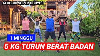 AEROBIK PENURUNAN BERAT BADAN SUPER CEPAT [upl. by Annetta]