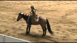 Bridleless Freestyle Reining [upl. by Lilia]