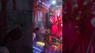 Angana Padharo Maharani 😱 navratri ytshorts durgapuja shorts chaudharykevlogs [upl. by Nodnart]