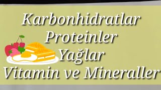 4Sınıf Fen bilimleri 2üniteBesinlerimiz ve özelliklerikarbonhidratyağvitamin mineral protein [upl. by Nelli]