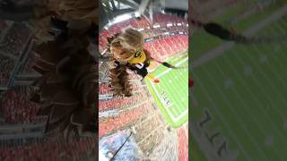 Highest Rope Swing Drop 😳 atlantafalcons [upl. by Eicam]