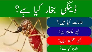 dengue fever  dengue ka ilaj  dengue bukhar ki alamat  Dengue Virus  Dengue Fever Treatment [upl. by Birgitta]