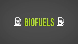 Biofuels 101 [upl. by Yoho]