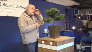 Willowbog Bonsai Workshop Intro  Hinoki Cypress [upl. by O'Donovan]