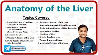 Anatomy Of the Liver By Dr Abhijeet [upl. by Maples]