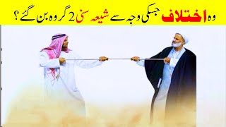 Main difference between Shia and Sunni Muslims  5Minut Info [upl. by Nesyaj]