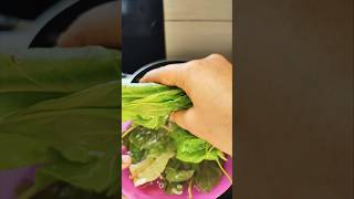 Palak rice  shorts food song rajinikanth healthyeyes [upl. by Eidnahs430]