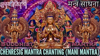 ☸️Om Mani Padme Hum Monks ChantingTibetan Buddhist Mantra Chantमन्त्र साधना [upl. by Takara666]