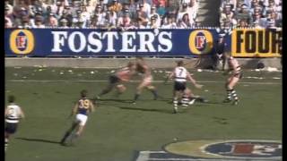 1992 AFL Grand Final West Coast vs Geelong [upl. by Nyltiak]