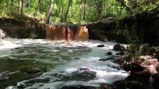 Falling Creek Falls [upl. by Marylou]