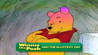 Closing To Winnie The Pooh And The Blustery Day 1993 VHS [upl. by Yboc]