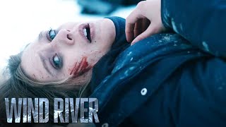 Wind River  Opening SceneBlood RunElizabeth OlsenJeremy RennerTaylor Sheridan [upl. by Heymann823]