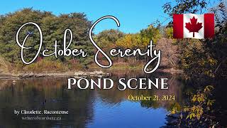 October Serenity  Pond scene  Canadian nature serenityofnature ponds mindfulmoments [upl. by Wertz]