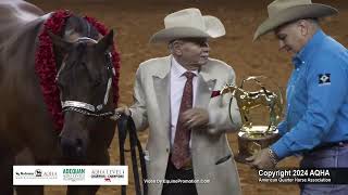 Select Aged Mares  2024 AQHA World Championship Show [upl. by Liuqa]