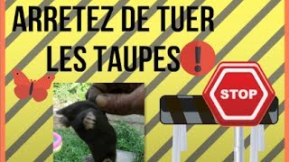 Stop AntiTaupes Pourquoi ne pas tuer les taupes [upl. by Eenoj452]