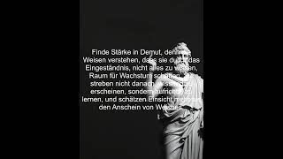 motivation zitate quotes mindset deutsch sprüche sprüche persönlichkeitsentwicklung wissen [upl. by Irrab]