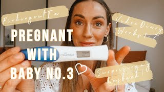 IM PREGNANT Weeks 17 Video Diary [upl. by Vocaay]