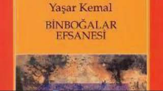 YAŞAR KEMAL🌺BİNBOĞALAR EFSANESİ SESLİ KİTAP🌺 PART 4 kitaptavsiyesi roman kitap [upl. by Ethyl]